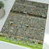 Argentina World Cup 2022 Champions Print