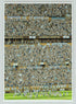Framed Argentina 2022 World Cup victory illustrated print.