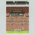 Crystal Palace 2025 Community Shield Final Winners Print