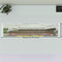 Sunderland - Stadium of Light Panoramic Illustration Print (Frame not included)