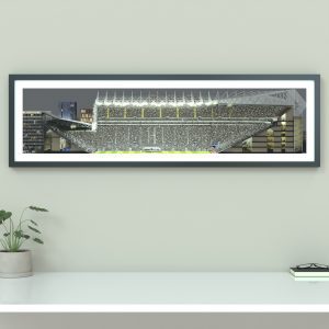 A panoramic cross-sectional illustration of St James' Park on a Champions League night, with fans in the stands and the pitch illuminated by floodlights.