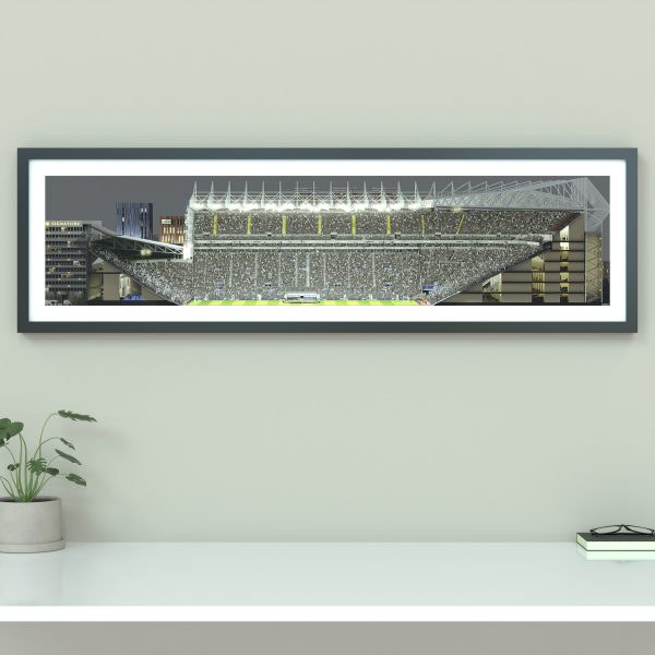 A panoramic cross-sectional illustration of St James' Park on a Champions League night, with fans in the stands and the pitch illuminated by floodlights.
