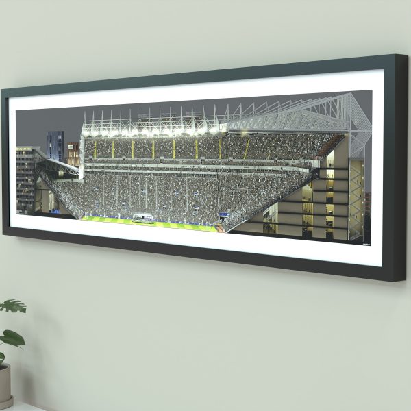A panoramic cross-sectional illustration of St James' Park on a Champions League night, with fans in the stands and the pitch illuminated by floodlights.