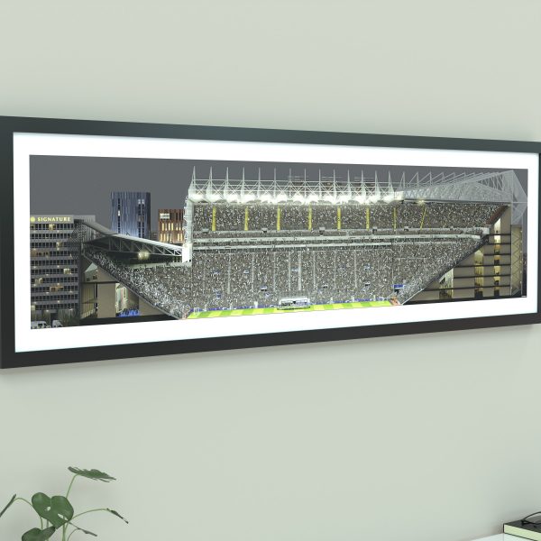 A panoramic cross-sectional illustration of St James' Park on a Champions League night, with fans in the stands and the pitch illuminated by floodlights.