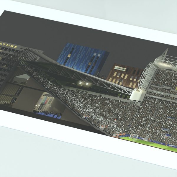 A panoramic cross-sectional illustration of St James' Park on a Champions League night, with fans in the stands and the pitch illuminated by floodlights.