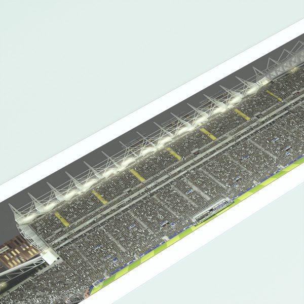 A panoramic cross-sectional illustration of St James' Park on a Champions League night, with fans in the stands and the pitch illuminated by floodlights.